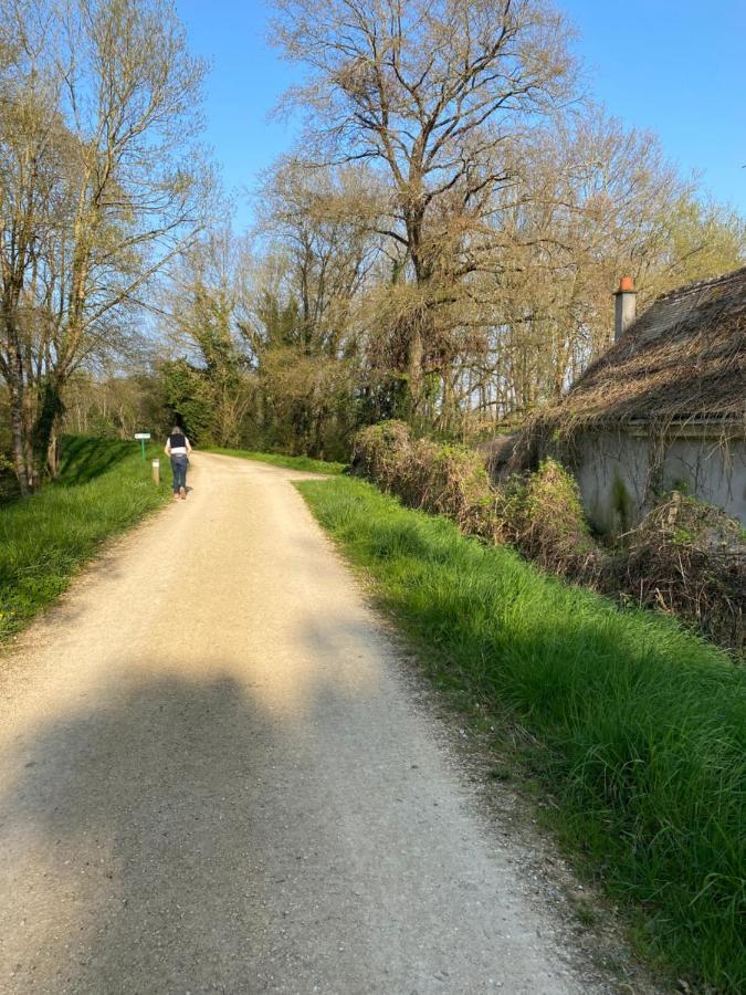 Studio Indre Climatise, La Halte De Cuze, Aux Abords De La Loire A Velo Huismes Buitenkant foto